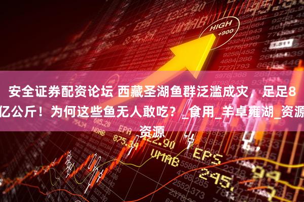 安全证券配资论坛 西藏圣湖鱼群泛滥成灾，足足8亿公斤！为何这些鱼无人敢吃？_食用_羊卓雍湖_资源