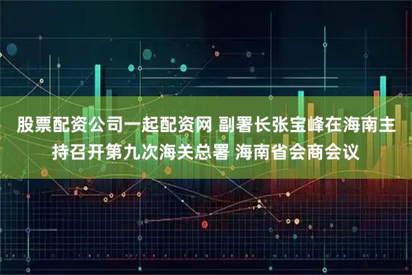 股票配资公司一起配资网 副署长张宝峰在海南主持召开第九次海关总署 海南省会商会议